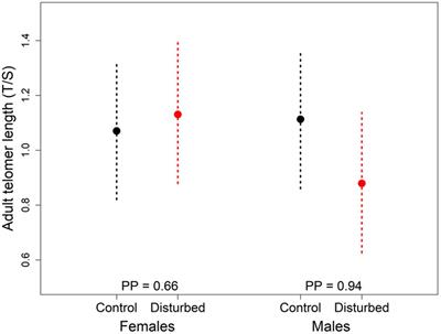 Effect of Human Disturbance on Bird Telomere Length: An Experimental Approach